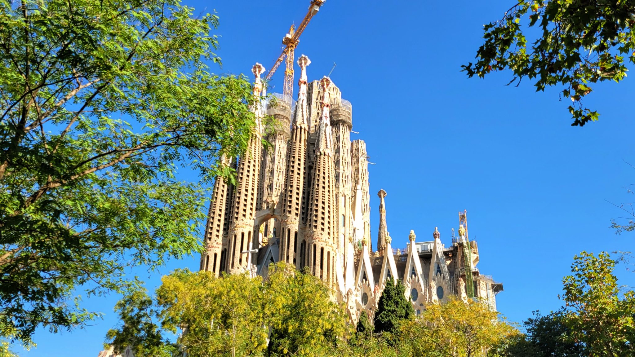 What You Need to Know Before Visiting La Sagrada Familia