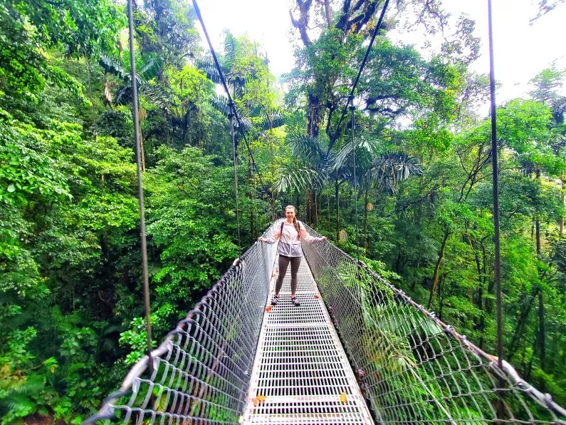 a bridge in a mountain