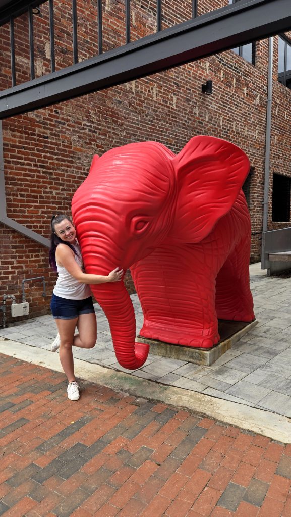 Art Safari, downtown danville