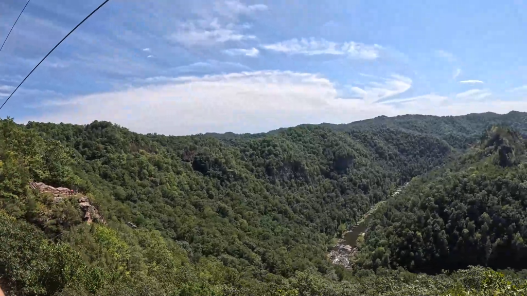 Zipline 1 view